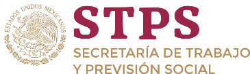 Representación de Protección Civil, STPS & Alianzas